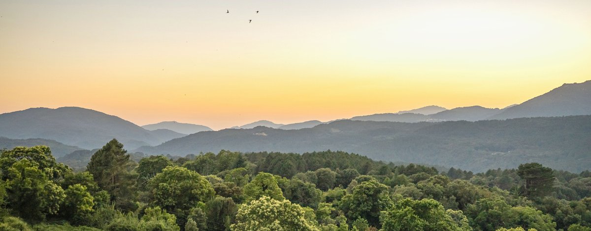 THE SCENT OF PLANET: fragrância que une arte, natureza e sustentabilidade