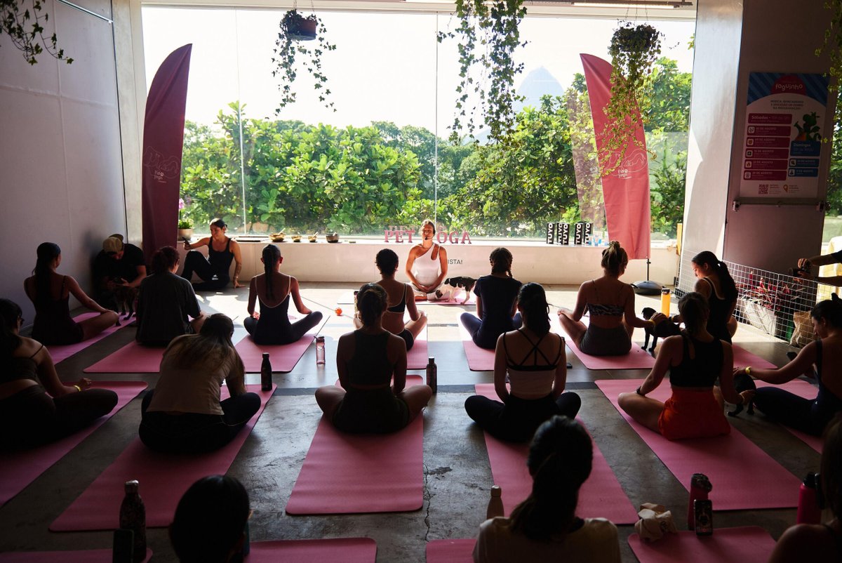 Pet Yoga com filhotes para adoção no Shopping Metropolitano Barra