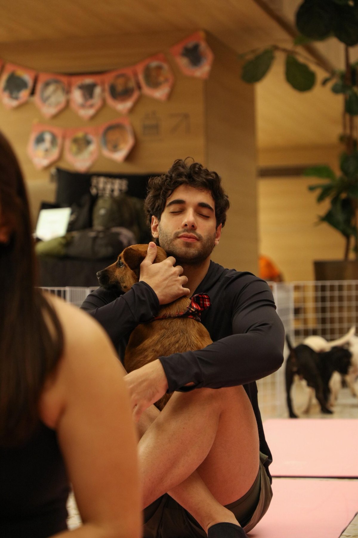 Pet Yoga com filhotes para adoção no Shopping Metropolitano Barra