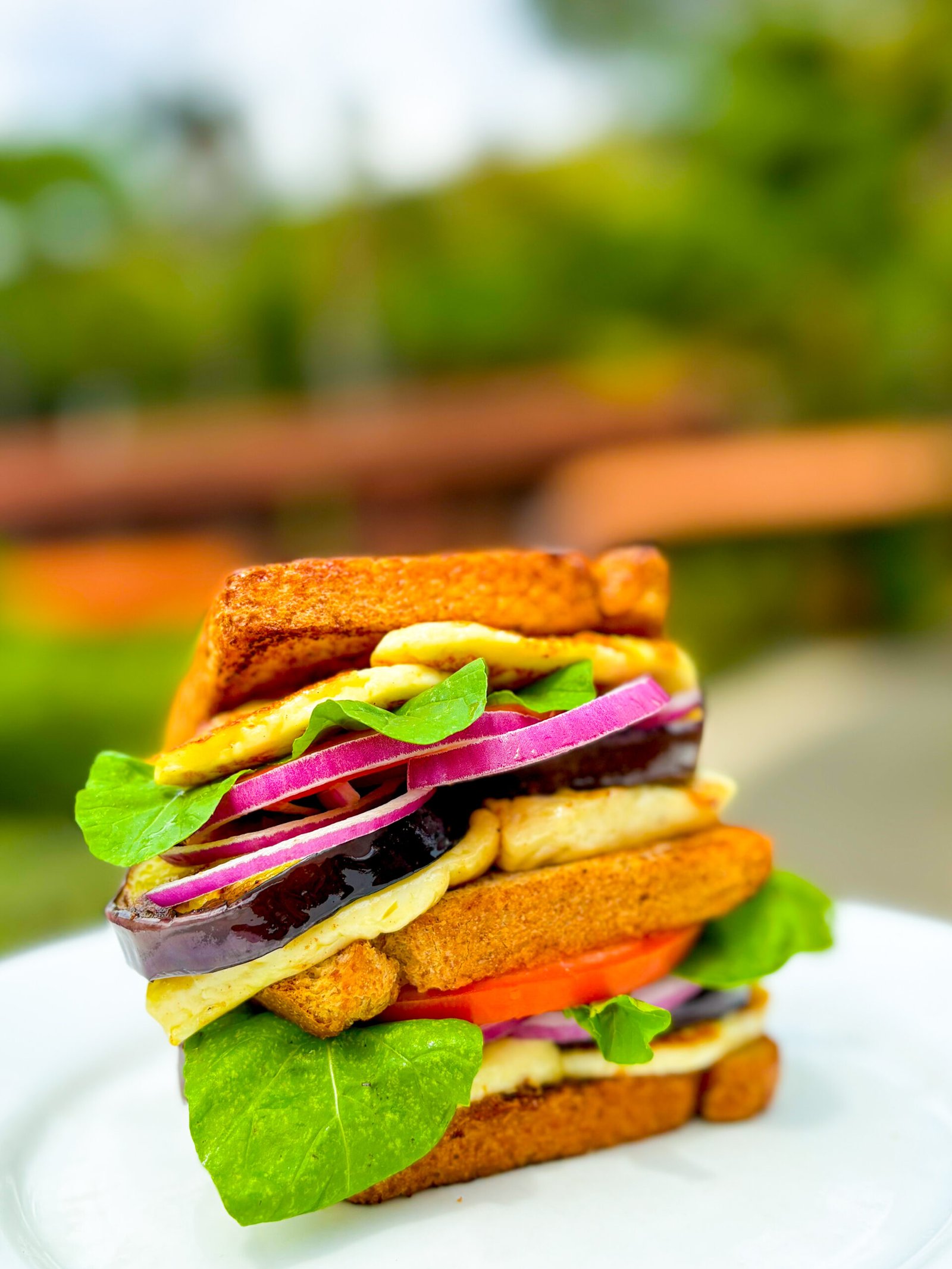 Hotel Fazenda Vilarejo celebra Dia do Sanduíche