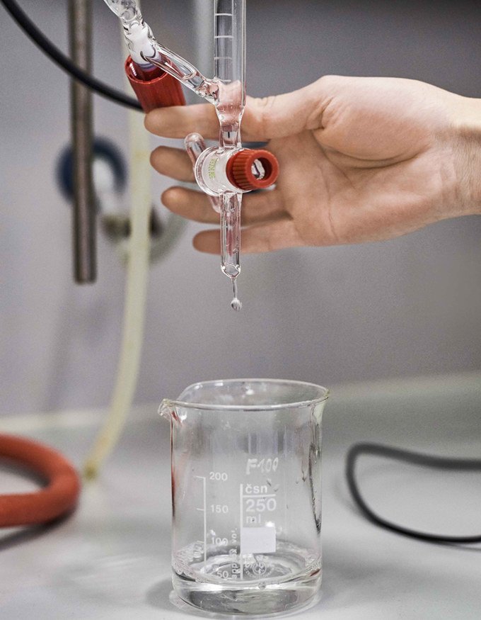 THE SCENT OF PLANET: fragrância que une arte, natureza e sustentabilidade