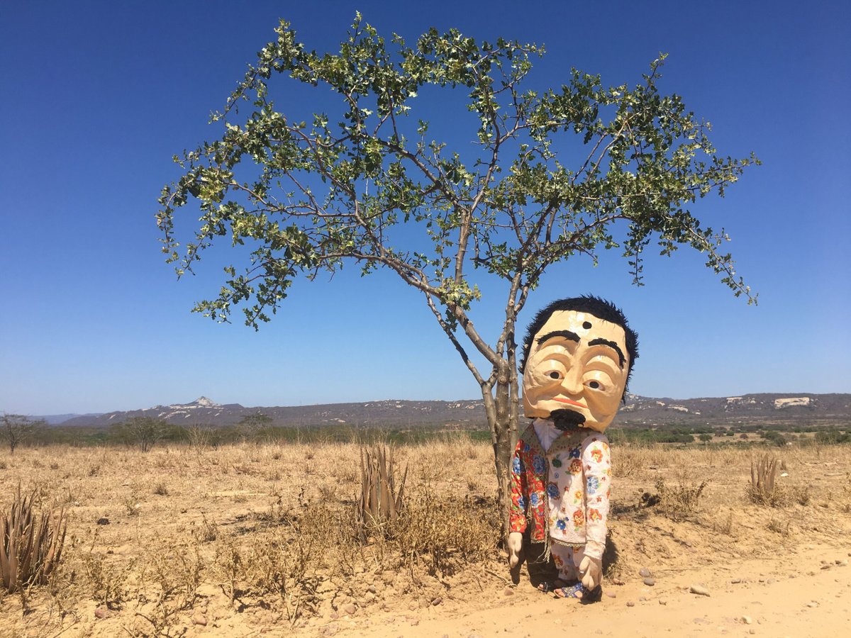 Maria Eugênia Tita apresenta “Cabeção pelo Mundo” e “Pássará” no Rio