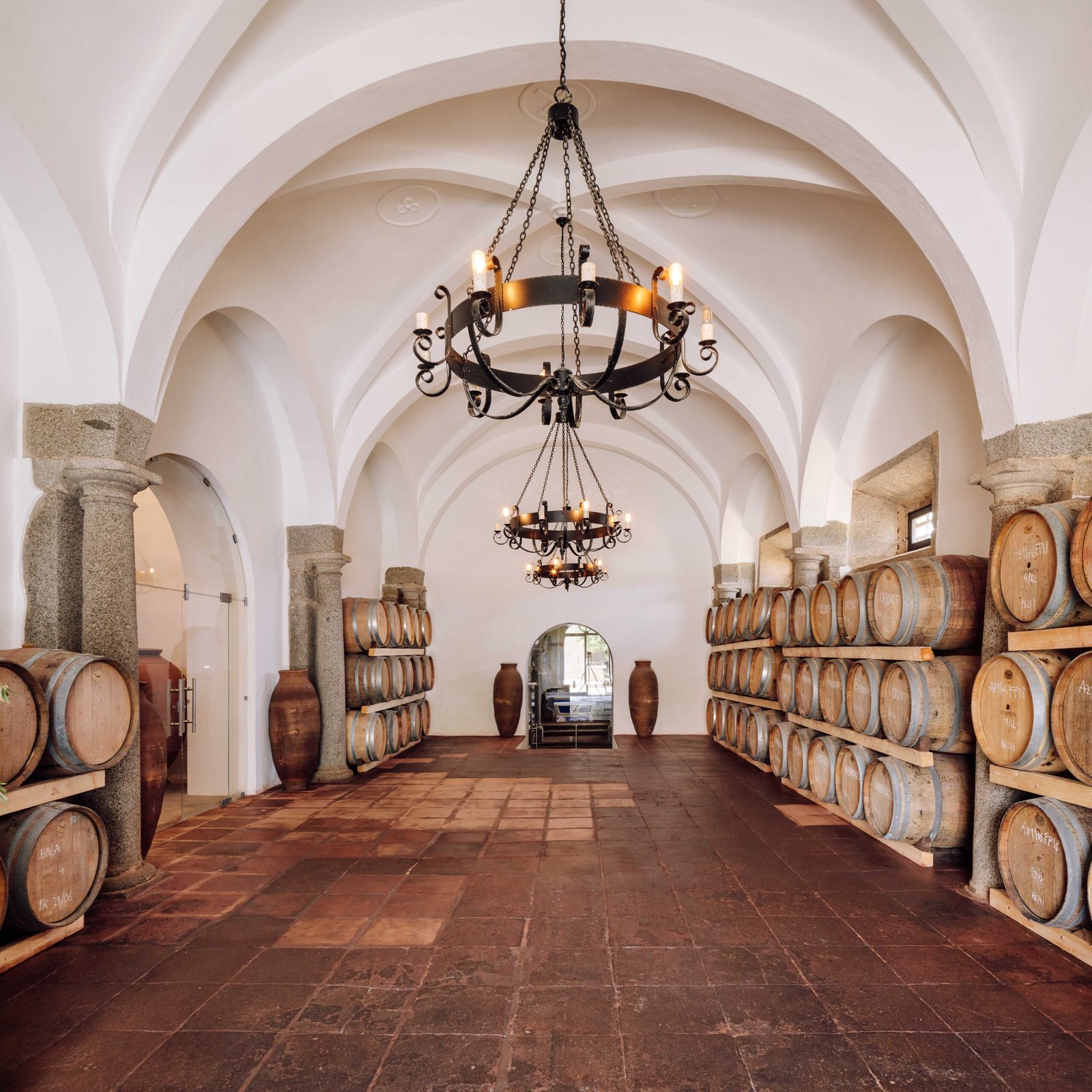 Forbes destaca três vinícolas do Alentejo entre as melhores do mundo