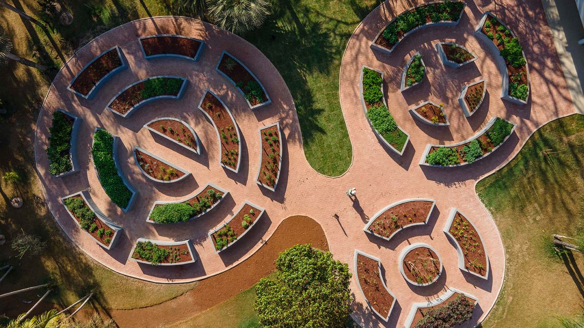 Clara Arte offers exclusive tours and progressive discounts