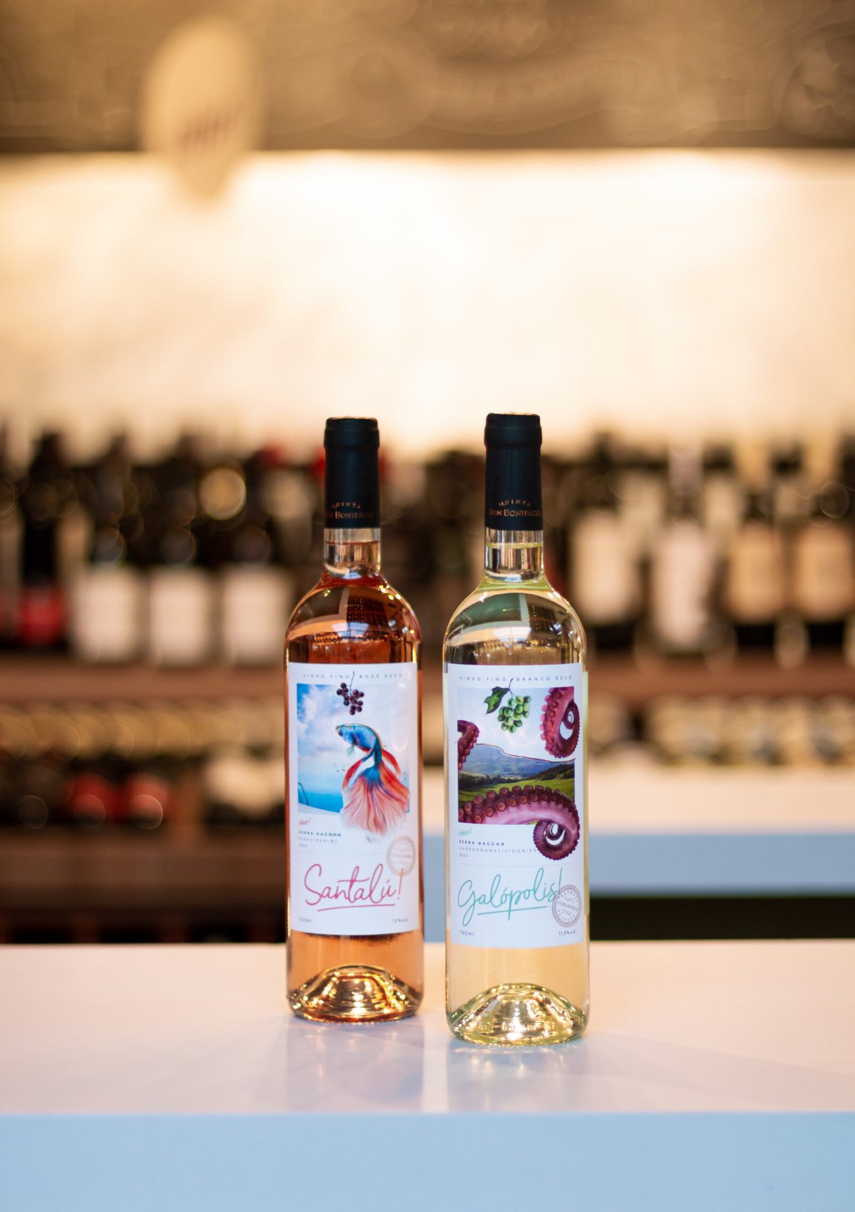 Vinhos nacionais ganham destaque e conquistam brasileiros