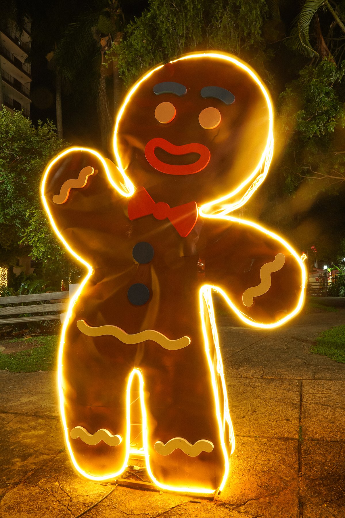 Socorro (SP) acende Luzes de Natal com inclusão e Night Run