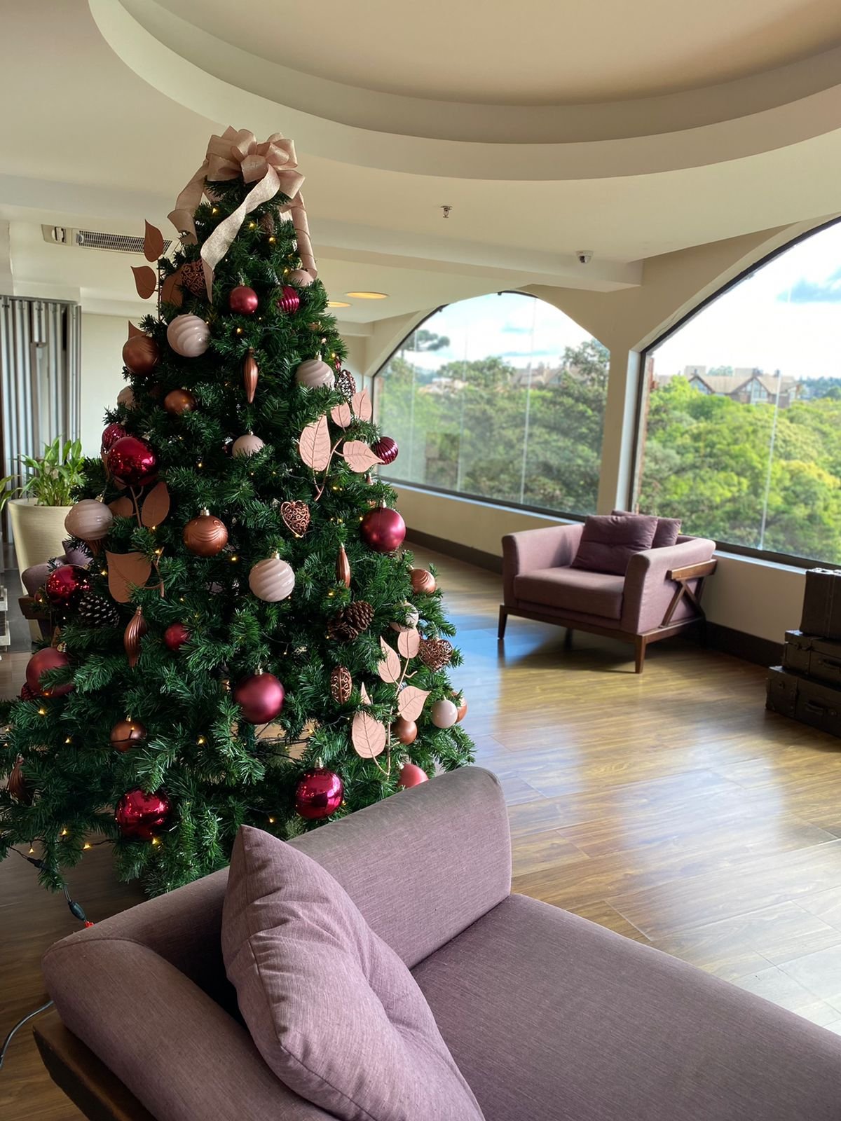 Turistas do Sudeste e Nordeste impulsionam ocupação da Rede Master