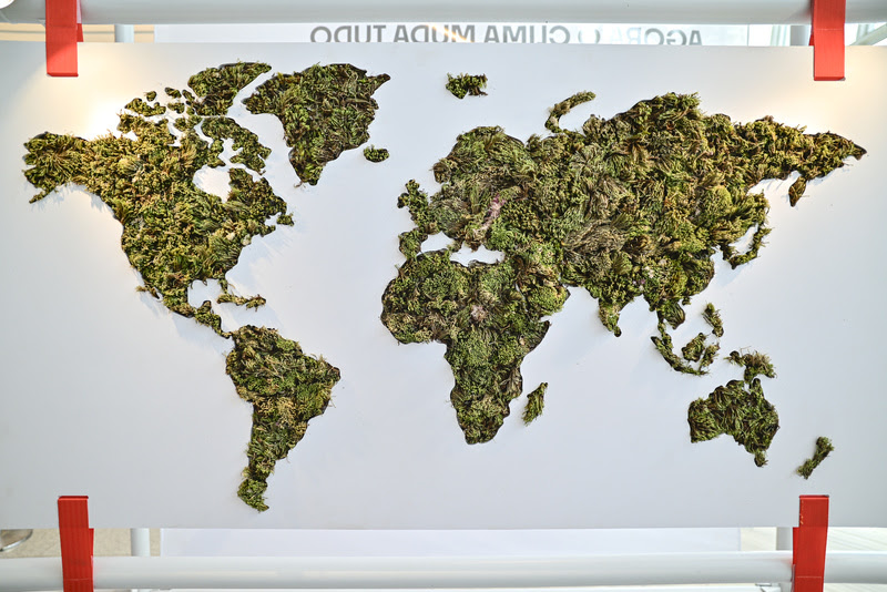 Coral Vivo e Bijari unem arte e ciência na COP30 em Belém