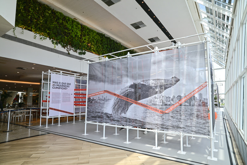 Coral Vivo e Bijari unem arte e ciência na COP30 em Belém