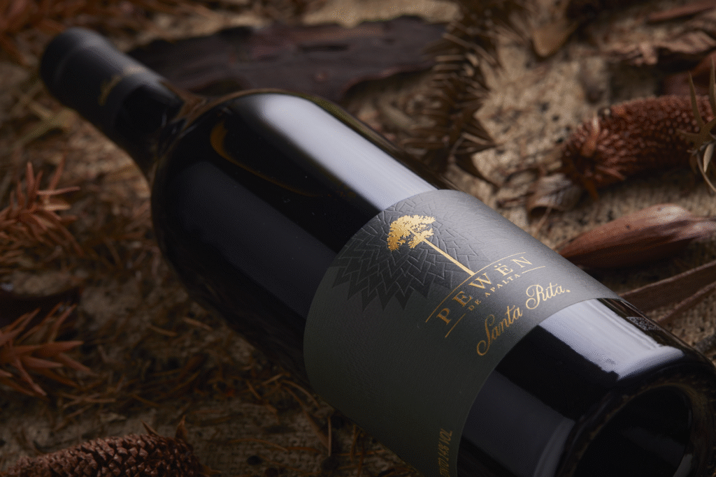 Pewën de Apalta: Carmenère crowned best in Chile