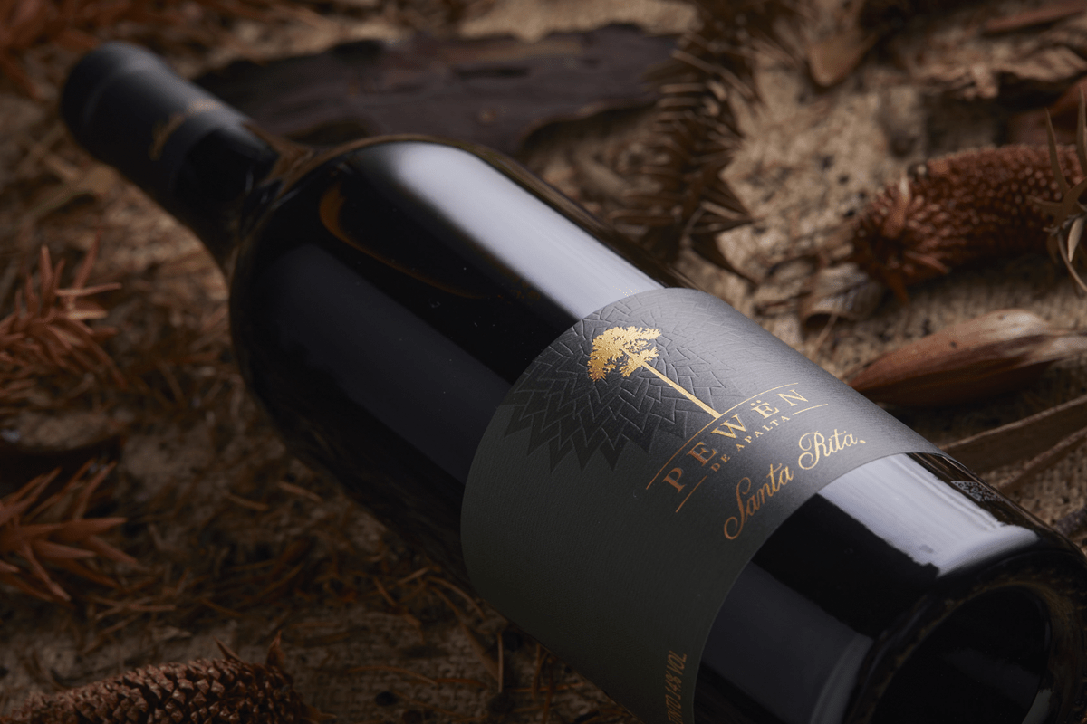 Pewën de Apalta: Carmenère crowned best in Chile