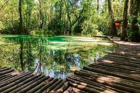 10 destinos imperdíveis para curtir o verão perto de SP