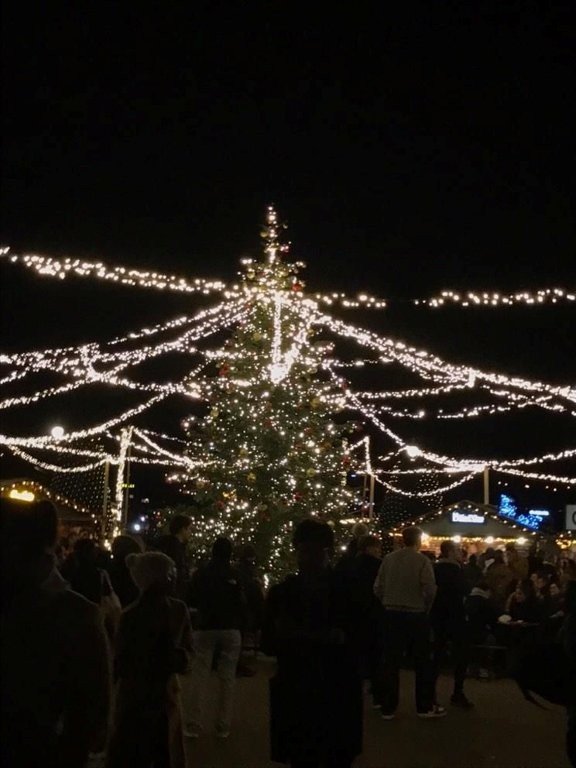 Roteiro natalino da Suíça a Paris no inverno europeu