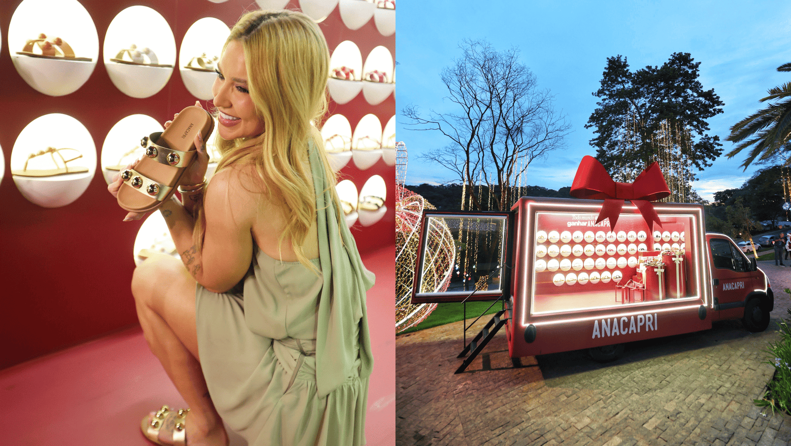 Anacapri stuns Virginia with aerial Christmas show