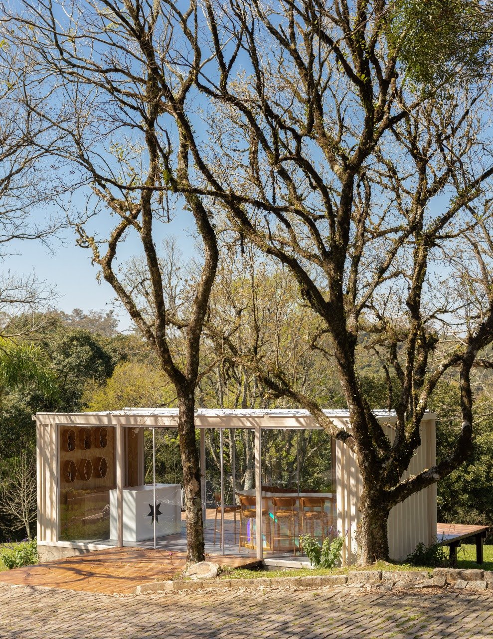 Chandon promove experiência exclusiva de vindima na Serra Gaúcha