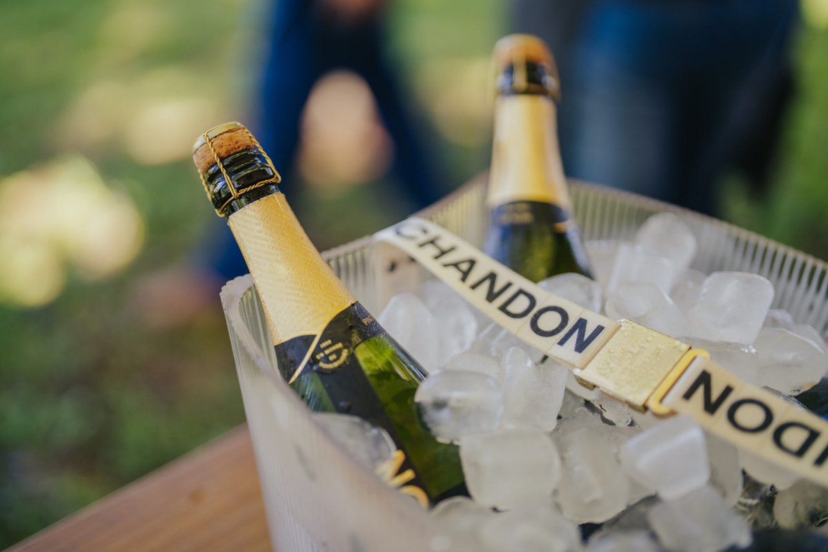 Chandon promove experiência exclusiva de vindima na Serra Gaúcha