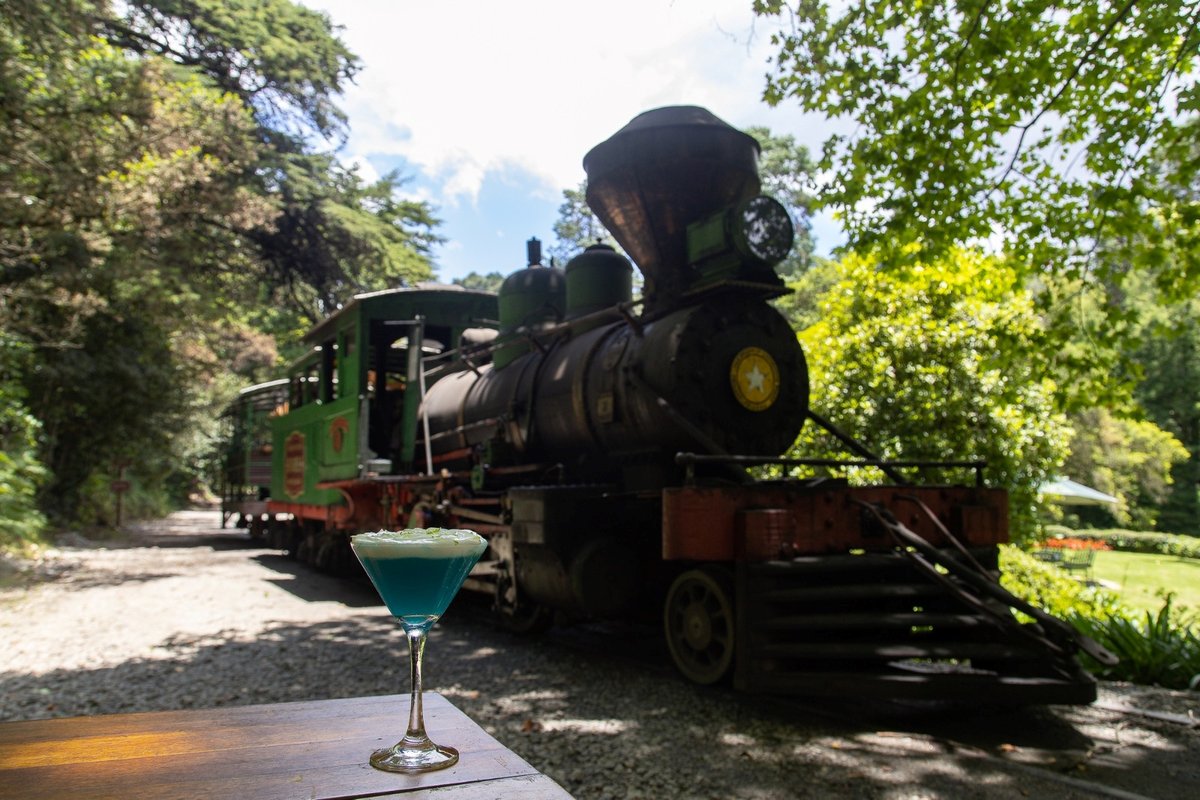 Casa Bambuí entra no ritmo do Carnaval em Campos do Jordão