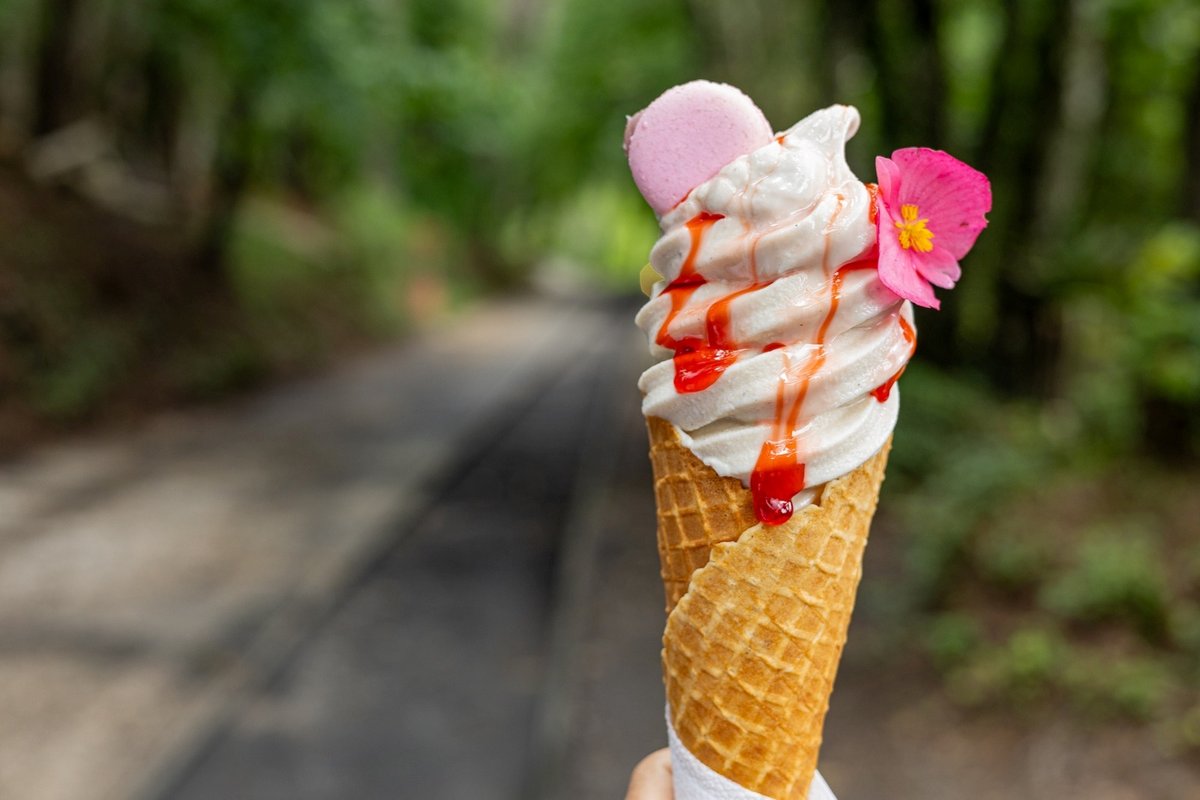 Casa Bambuí entra no ritmo do Carnaval em Campos do Jordão