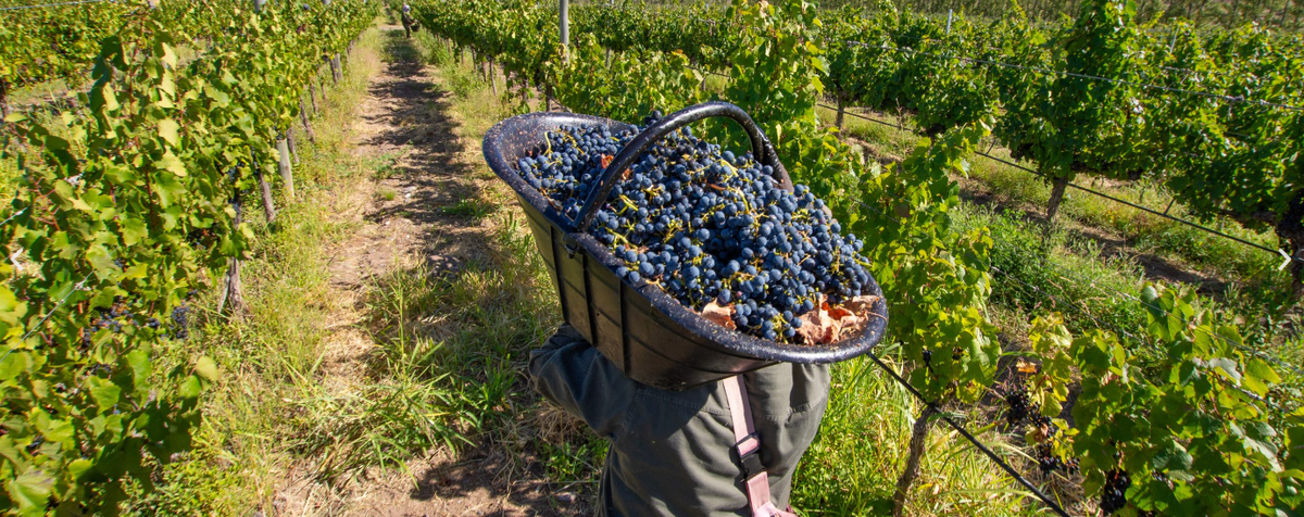 Neuquén revela um verão fora do óbvio na Argentina