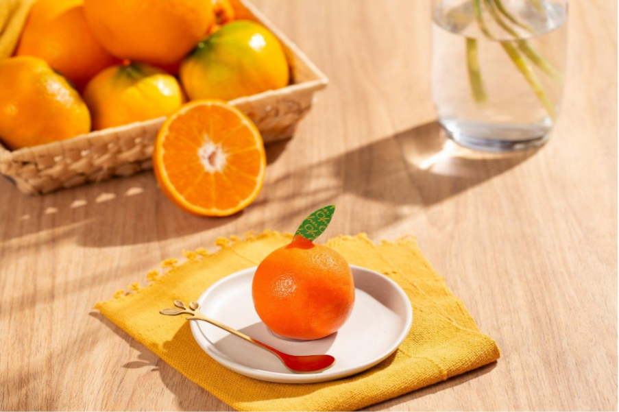 Ofner lança menu de verão “Sabores do Mundo” em 2026