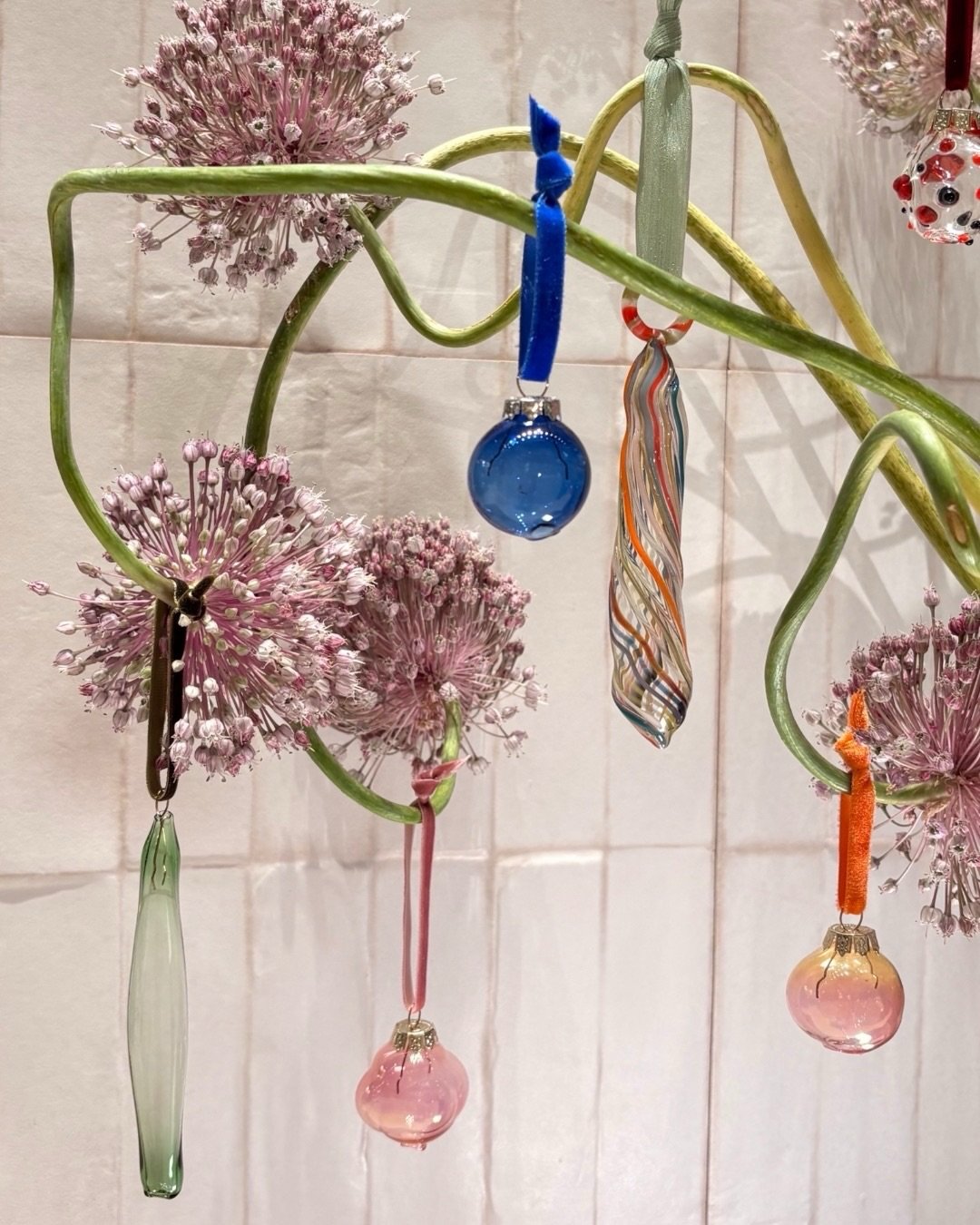 10 marcas nordestinas para brilhar no Carnaval 2026