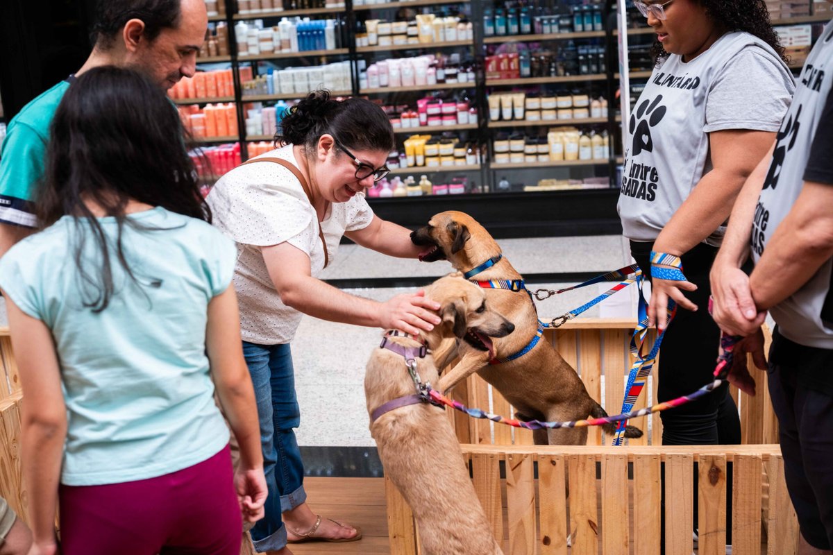 Carioca Shopping promove Feira de Adoção Pet neste sábado