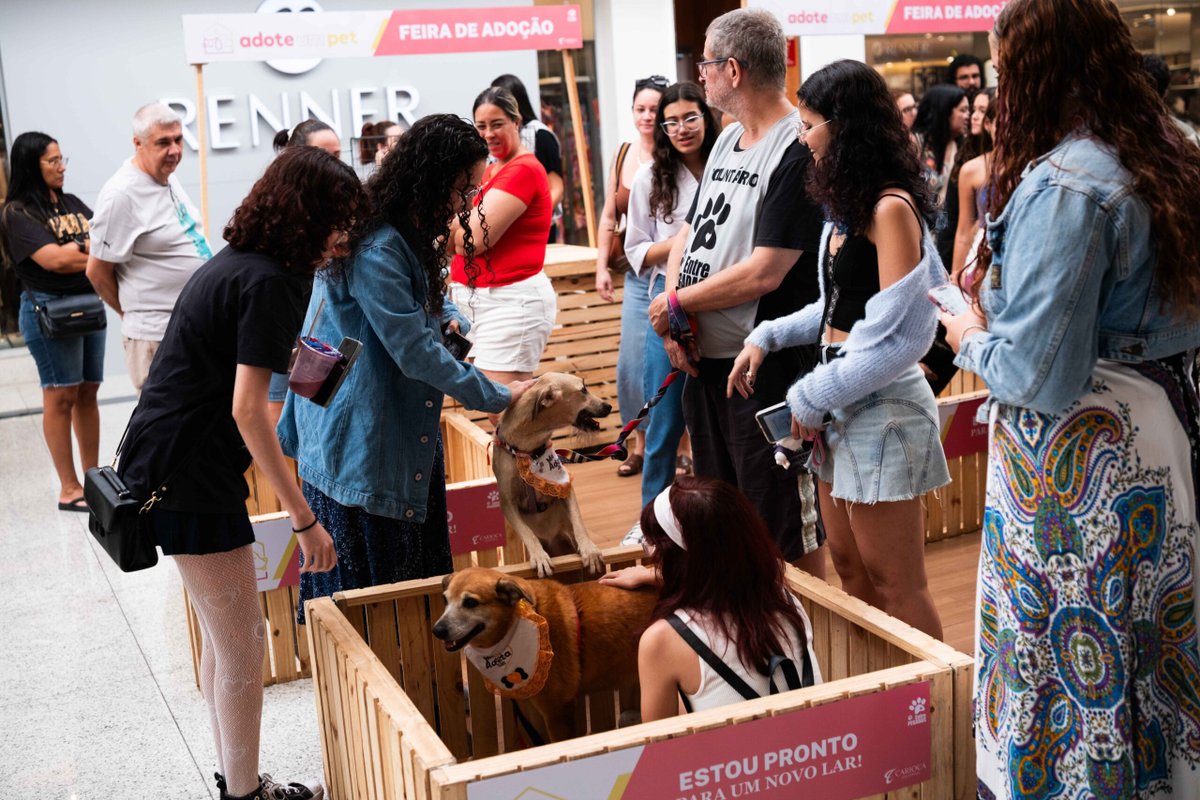 Carioca Shopping promove Feira de Adoção Pet neste sábado