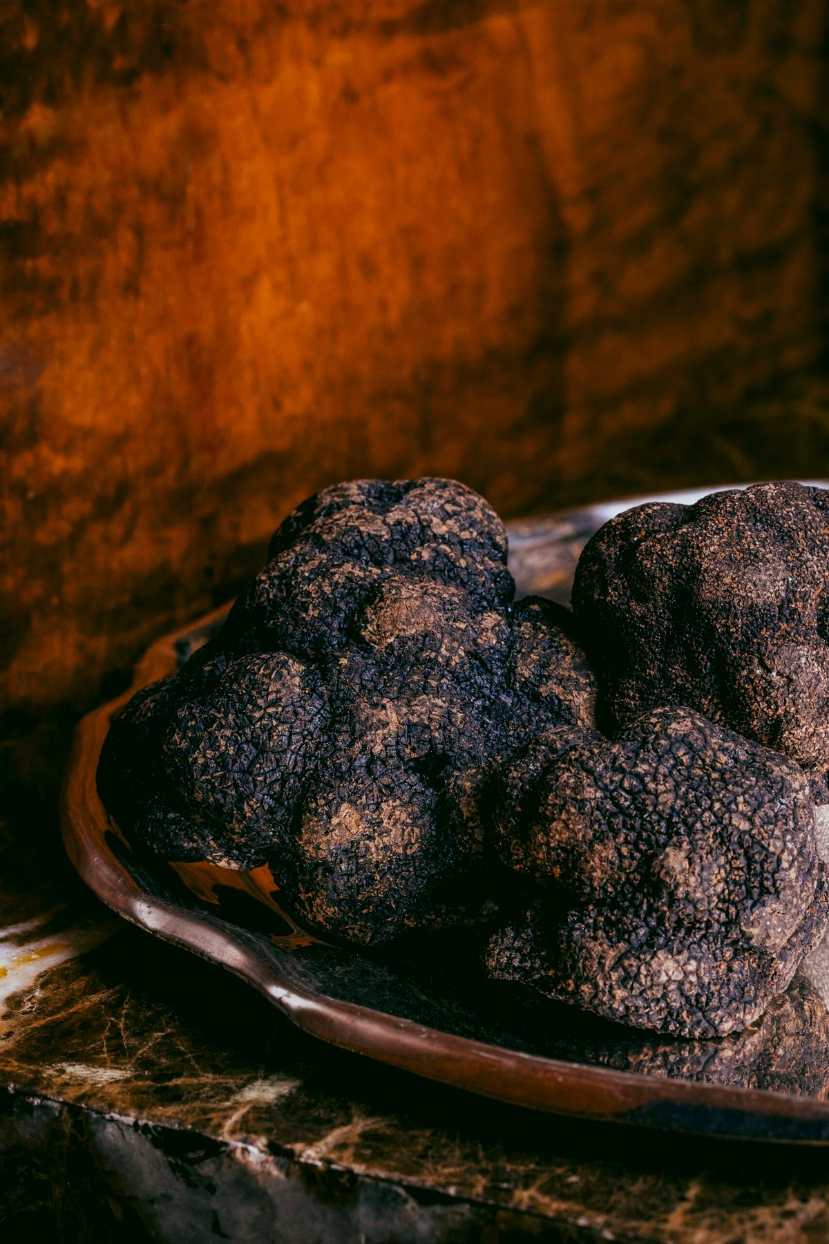 Gero Rio abre temporada de trufas negras a partir de 6/2