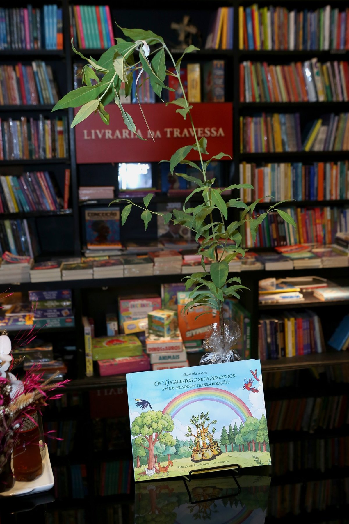 Silvia Blumberg lança livro infantil sobre eucaliptos no Leblon