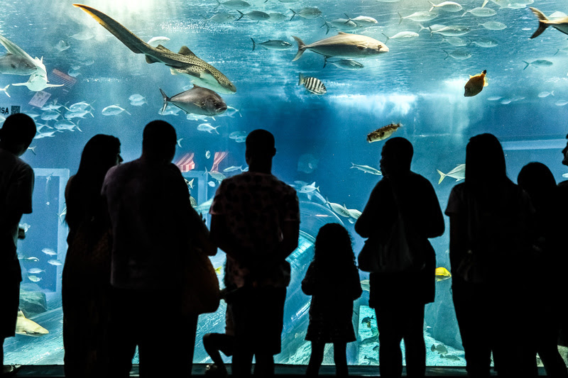 Fundo voluntário de turismo Rio inicia no Bondinho e AquaRio