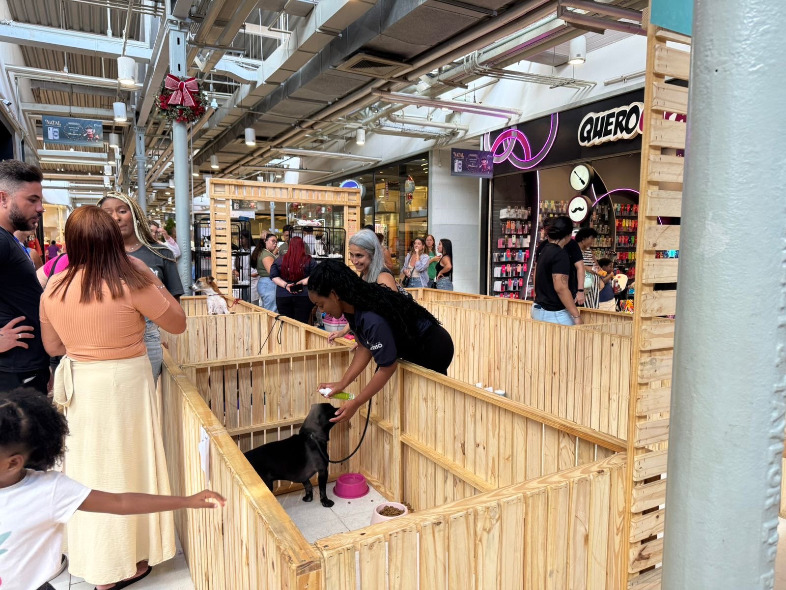 Bangu Shopping promove adoção pet neste sábado