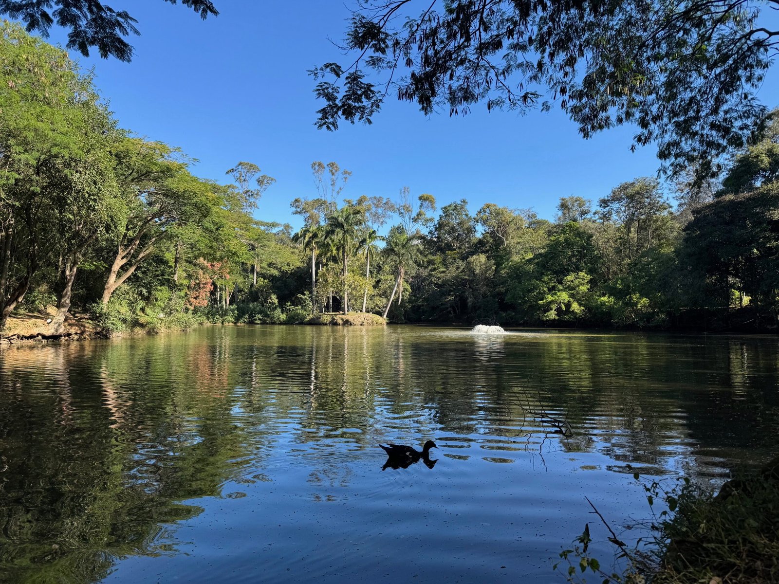 Rede dos Sonhos: Turismo Inclusivo em Socorro