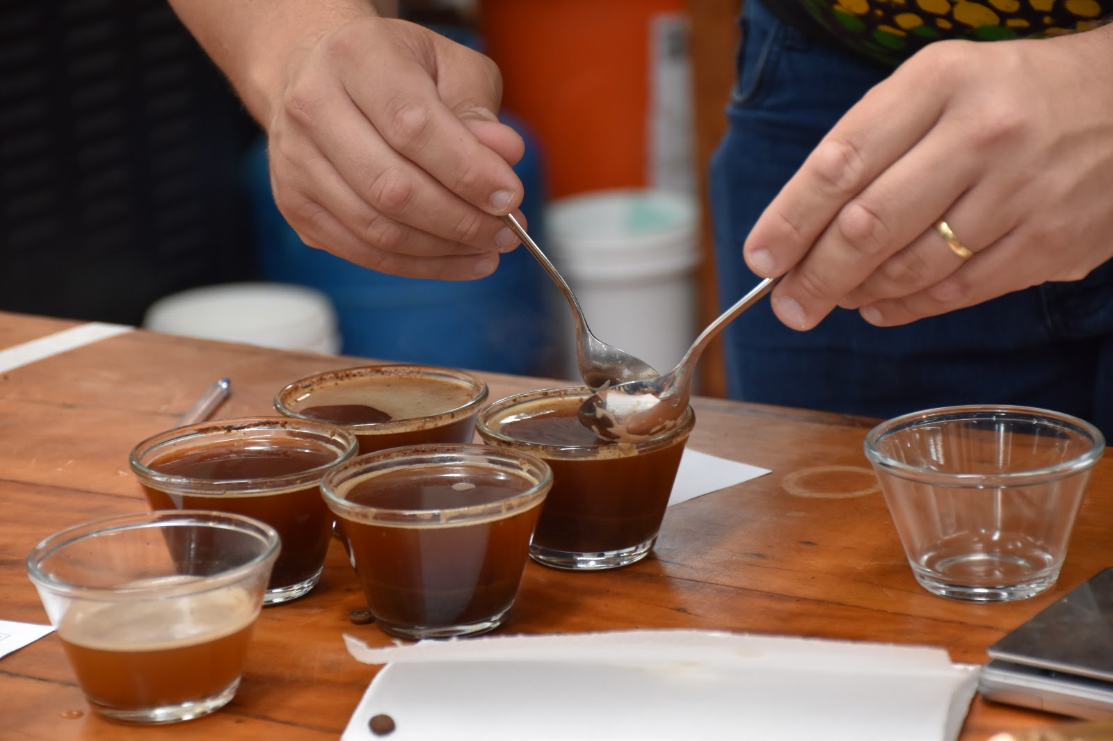 Andradas Café Festival abre 4ª edição em Minas