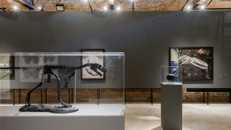 Museu Nacional exibe mostras sobre ciência e memória