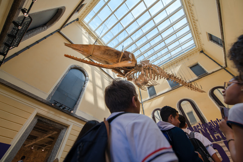 Museu Nacional convida escolas para visitas guiadas
